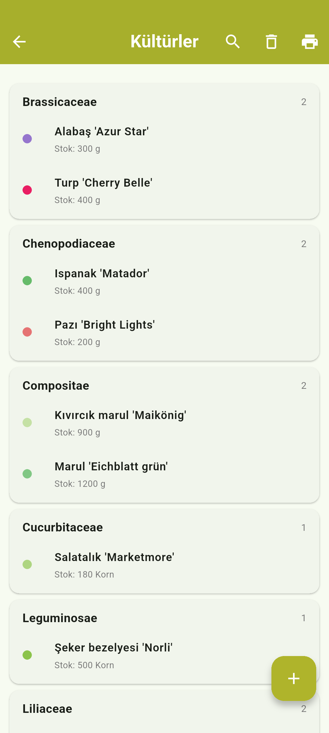 android 06_kulturen