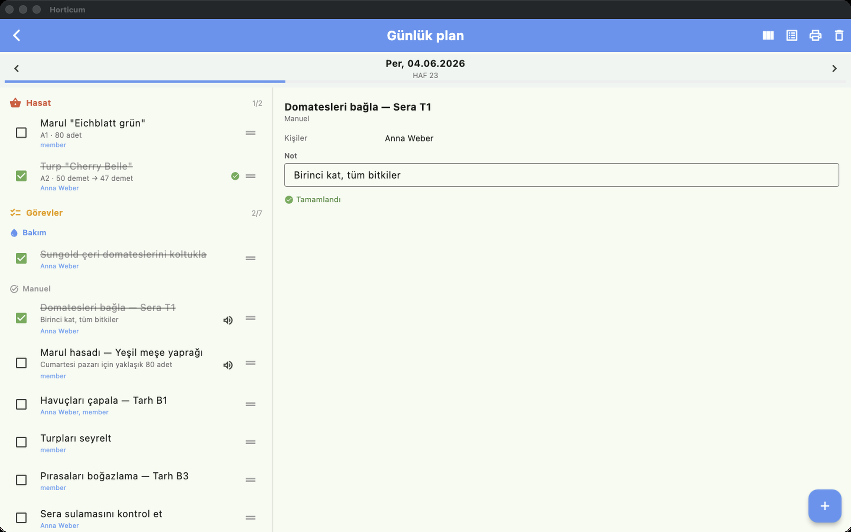 web 03_tagesplan
